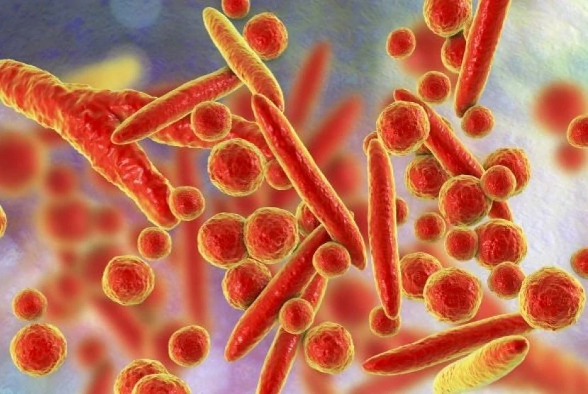 Inilah 5 Gejala Mycoplasma Pneumoniae yang Harus Anda Waspadai