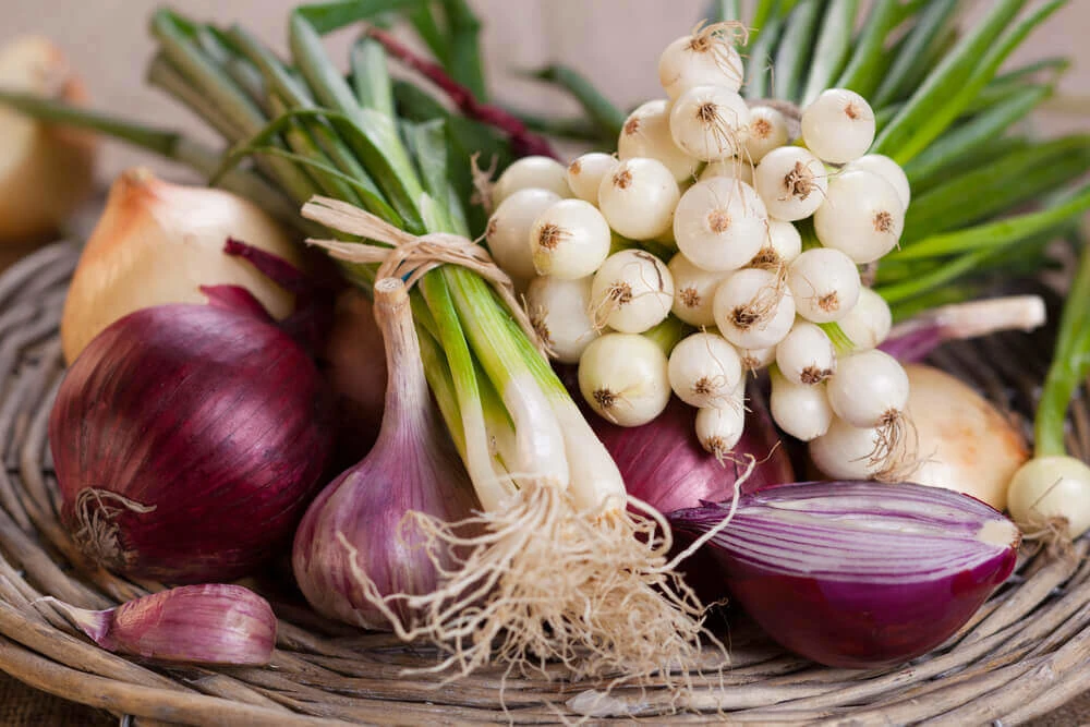 Tak Hanya Jadi Penyedap Masakan, Ini 7 Khasiat Bawang Prei bagi Kesehatan